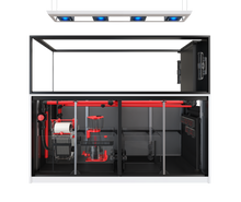 Load image into Gallery viewer, REEFER MAX Peninsula G2+