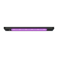 Load image into Gallery viewer, AI Blade Coral Glow LED Light