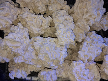 Load image into Gallery viewer, Marco Rock per KG available at AquaMonster Essex