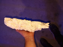 Load image into Gallery viewer, Prime cut Marco Rock 40kg box deal available at AquaMonster Essex