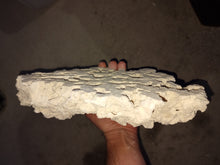 Load image into Gallery viewer, Prime cut Marco Rock Per kg available at AquaMonster Essex