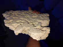 Load image into Gallery viewer, Prime cut Marco Rock Per kg available at AquaMonster Essex