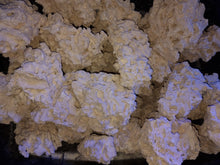 Load image into Gallery viewer, Marco Rock per KG available at AquaMonster Essex