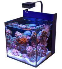 Load image into Gallery viewer, MAX® NANO Cube available at AquaMonster, Essex