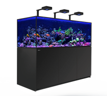 Load image into Gallery viewer, REEFER-S 850 G2 Deluxe System - Black available at AquaMonster