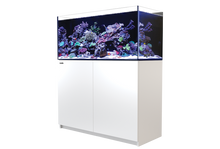 Load image into Gallery viewer, Reefer 350 G2 Complete System White available at AquaMonster Essex