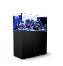 Load image into Gallery viewer, REEFER Peninsula P500 Complete System - Black available at AquaMonster
