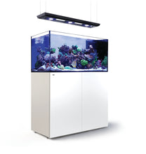 Load image into Gallery viewer, REEFER Peninsula P500 Deluxe System - White available at AquaMonster