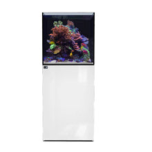 Load image into Gallery viewer, D-D Aqua-Pro Reef Cube 600
