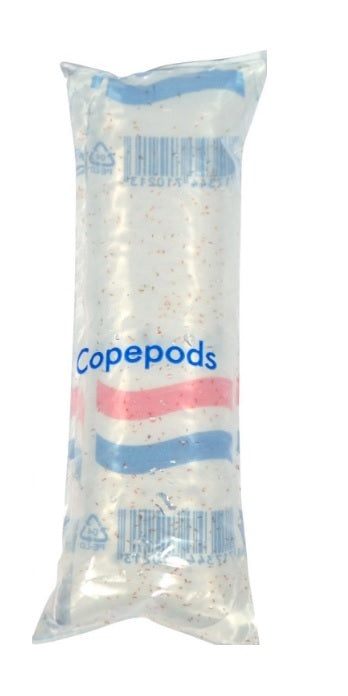 x10 Live copepods 100ml