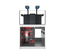 Load image into Gallery viewer, REEFER MAX G2+
