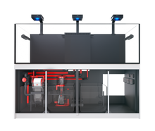 Load image into Gallery viewer, REEFER MAX G2+
