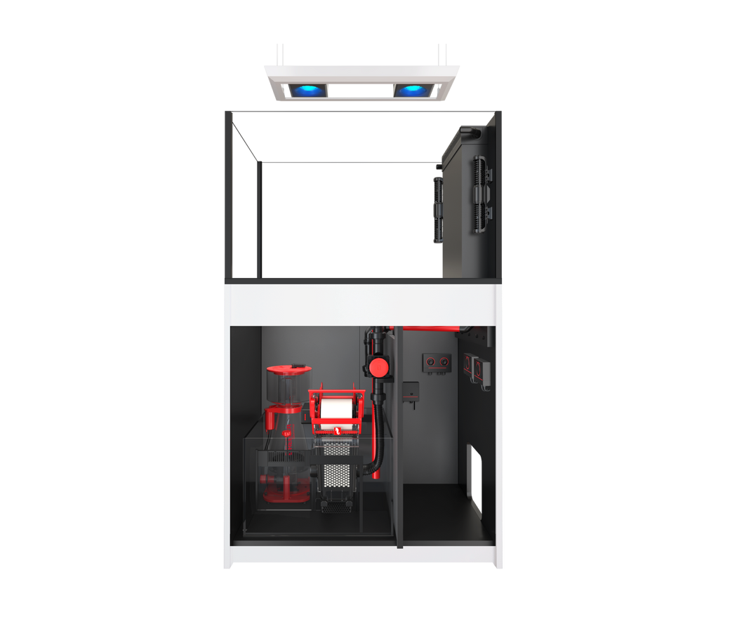 REEFER MAX Peninsula G2+