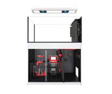 Load image into Gallery viewer, REEFER MAX Peninsula G2+
