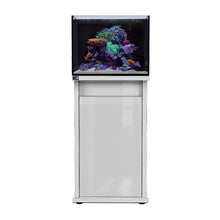 Load image into Gallery viewer, D-D Reef-Pro 600

