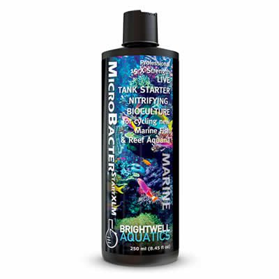 Brightwell MicroBacter start XLM 500ml