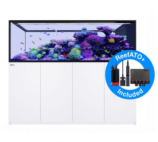 Reefer Peninsula G2+ S-950 Deluxe  System - Black/White (3 x RL160S, pendant 180-228cm)