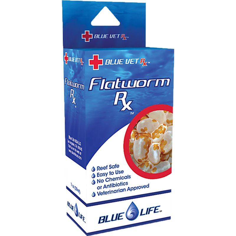 Blue Life USA Flatworm RX available at AquaMonster, Essex