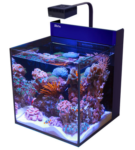 MAX® NANO Cube available at AquaMonster, Essex