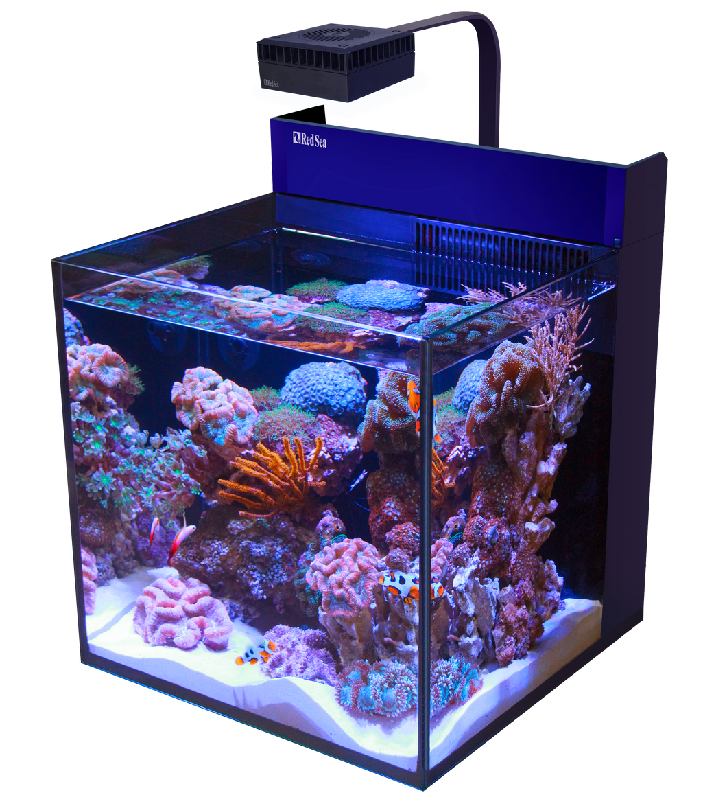 MAX® NANO Cube available at AquaMonster, Essex