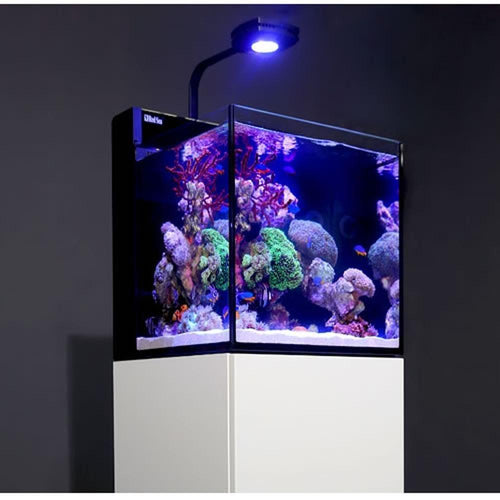 Max NANOComplete Reef System available at AquaMonster
