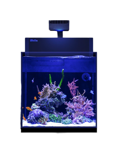 MAX® NANO Peninsula available at AquaMonster, Essex