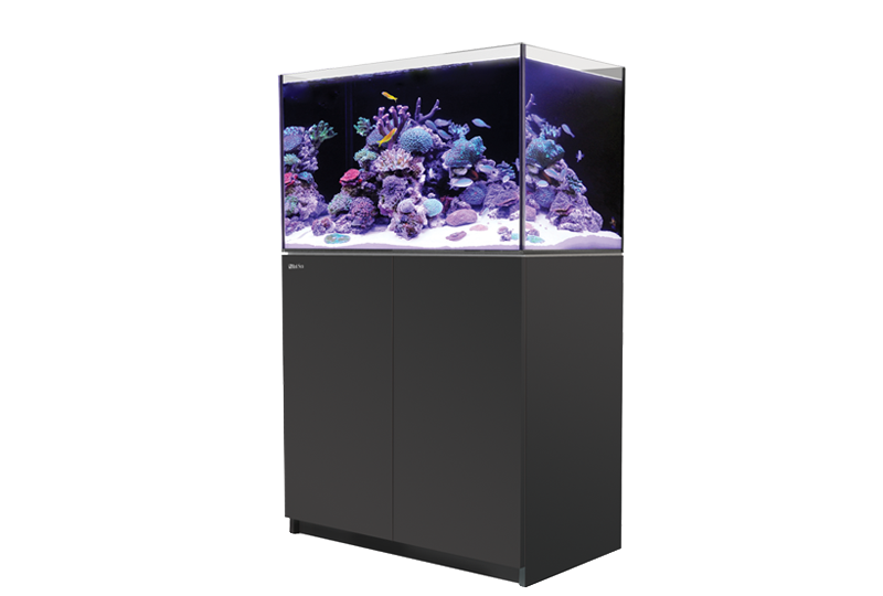 Reefer 250 G2 Complete System Black available at AquaMonster Essex