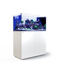 Load image into Gallery viewer, REEFER Peninsula P500 Complete System - White available at  AquaMonster
