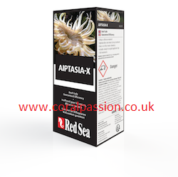 Red Sea Aiptasia-X 60ml available at AquaMonster Essex