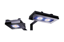 Load image into Gallery viewer, Reef Factory Reef Flare LED fixture Black 140w available at AquaMonster, Essex
